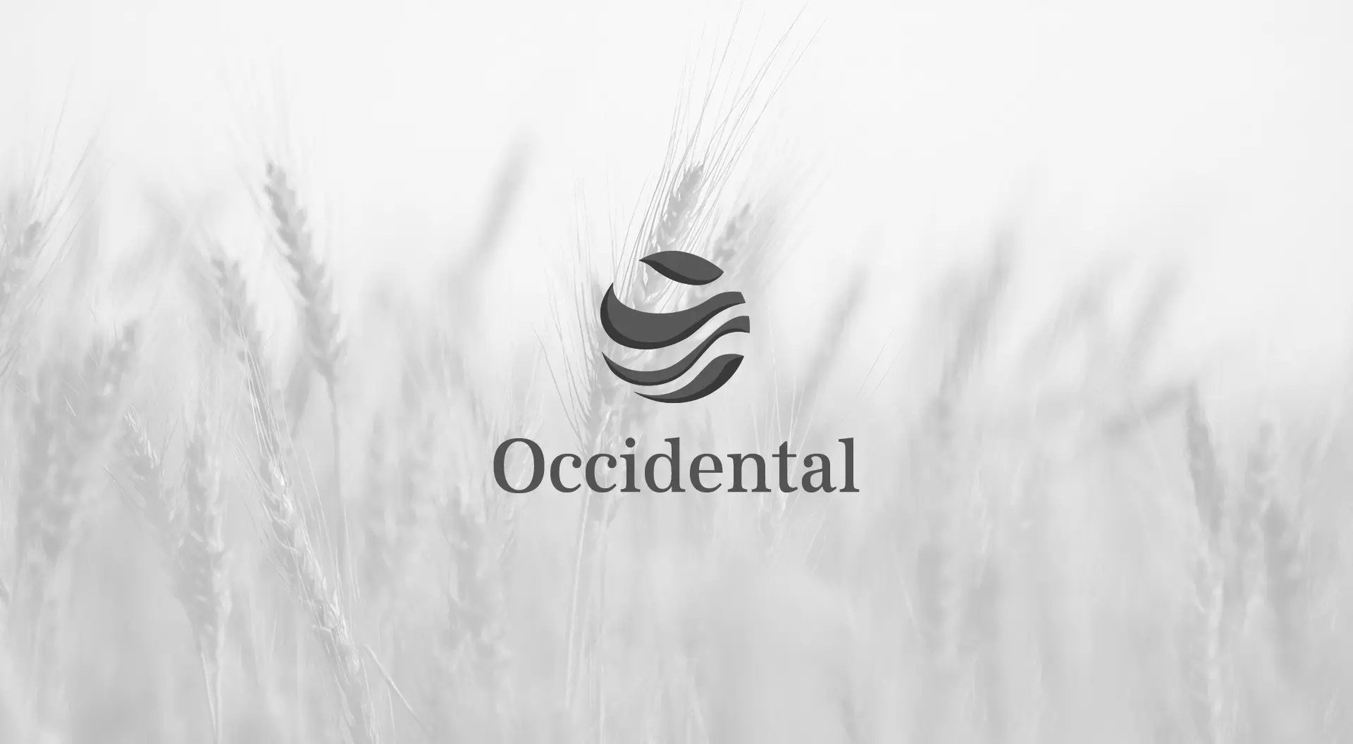 cover image, occidental resources logo with a landscape as background